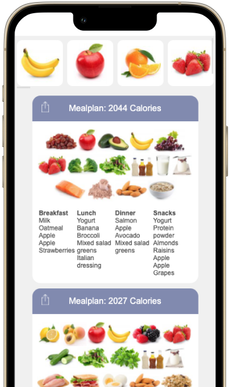 Meal Planner