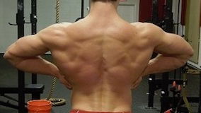 "BACK" IN THE GYM! 