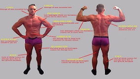 Where Do You Store Body Fat & Why?