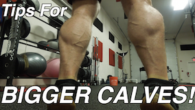 Calves: Why Mine Are Growing & Yours Are Not! 