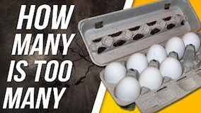 Is Eating Too Many Eggs Bad For You?