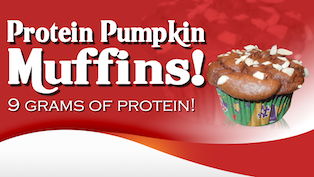 Protein Pumpkin Muffins!