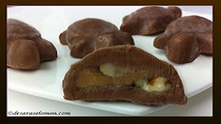 Turtles Chocolates