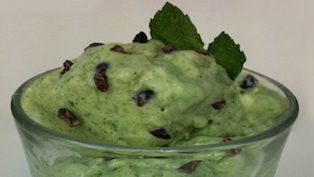 Mint Chocolate Chip Protein Ice